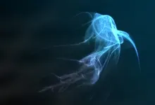 jellyfish 1600 exotic aquatic life thread in any style 1600x1200 wallpaper Art HD Wallpaper